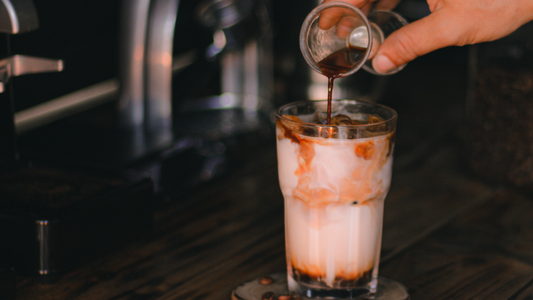 Cold Brew vs Iced Coffee