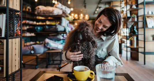 Can Dogs Drink Coffee