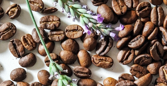Keep Coffee Fresh