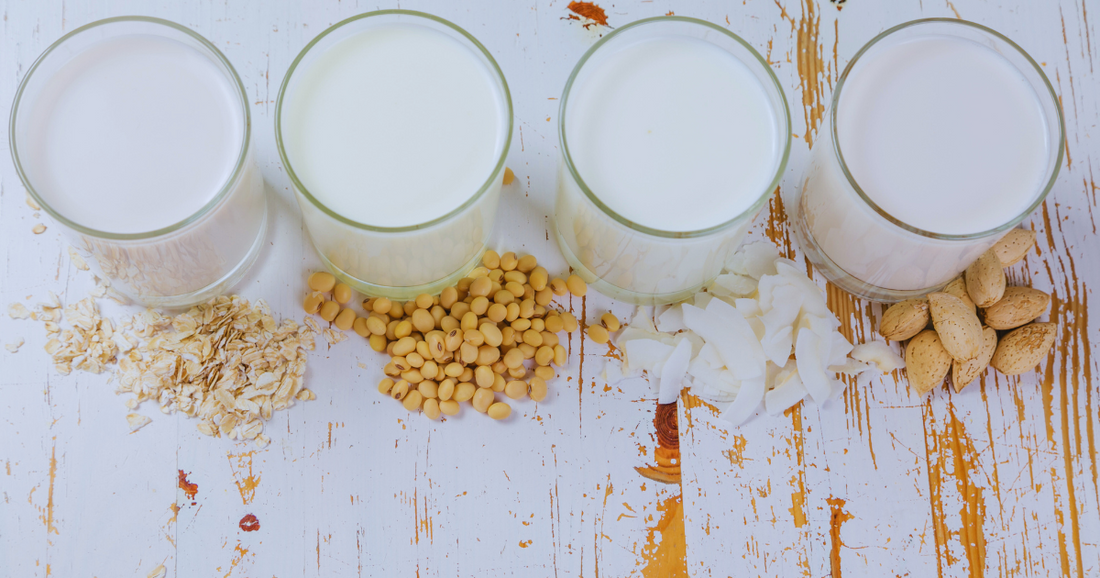 The Best Milk Alternatives for Coffee (And How They Affect the Flavour)