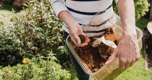 Composting Coffee